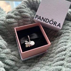 Pandora Charm